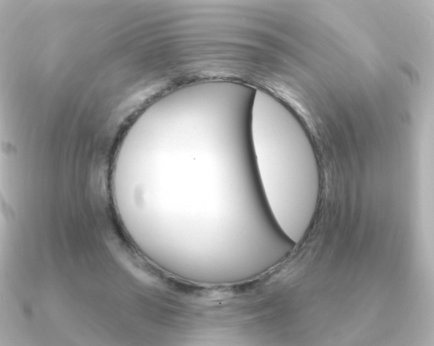 X0000091330398200708101005
