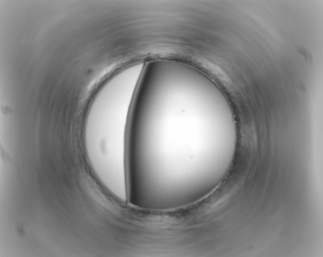 X0000091330399200708101005