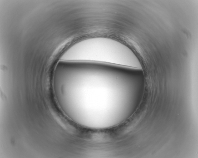 X0000091330400200708101005