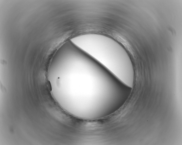 X0000091330401200708101005