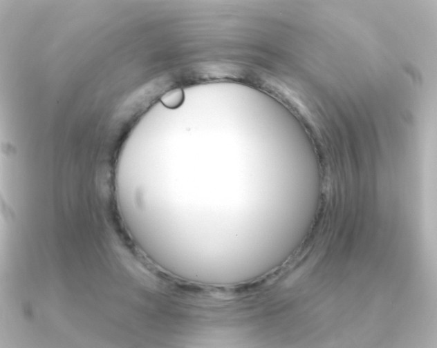 X0000091330402200708101005