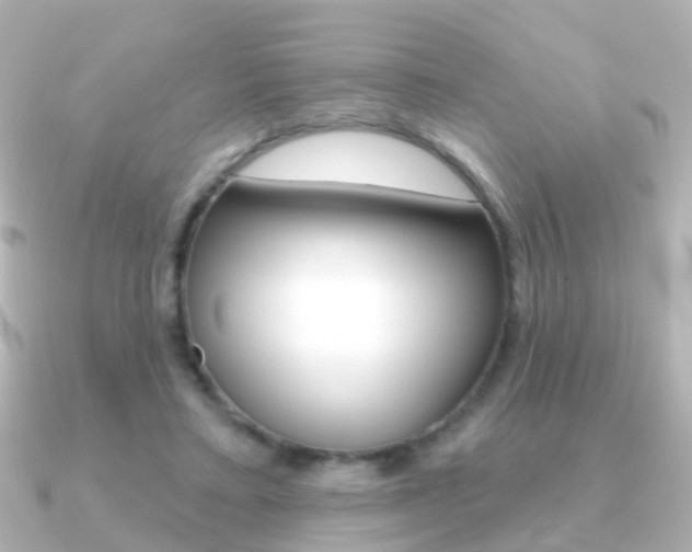 X0000091330403200708101005
