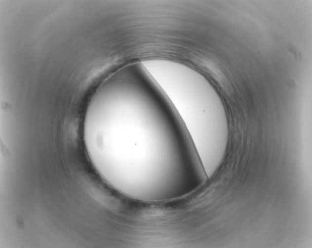X0000091330404200708101005