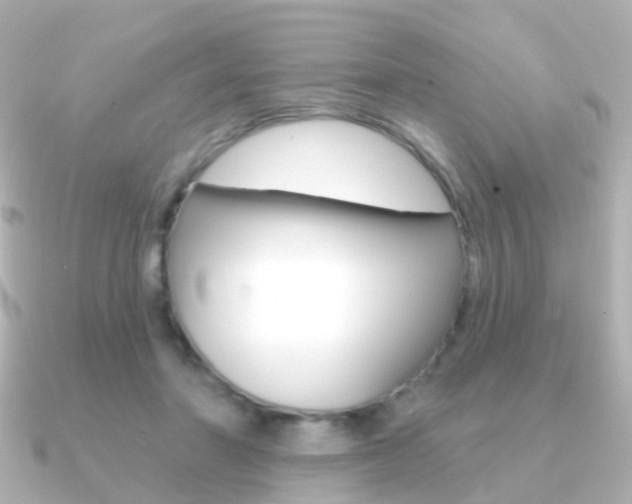 X0000091330406200708101005