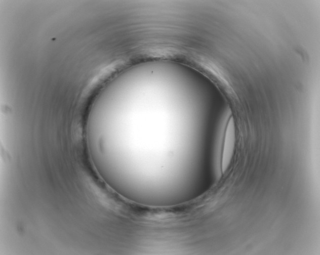 X0000091330407200708101005