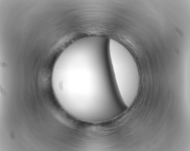 X0000091330408200708101005