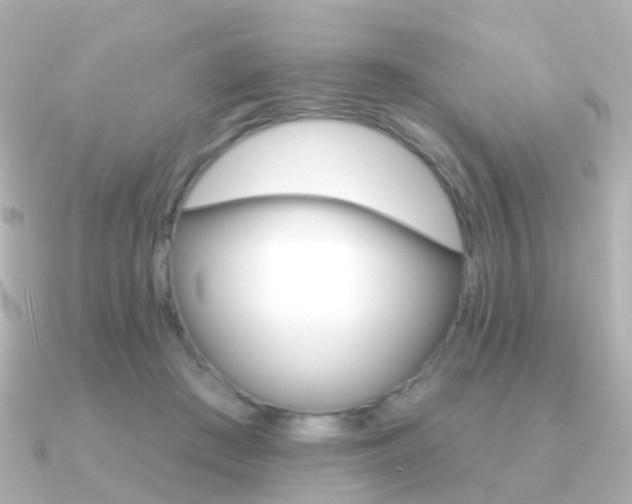 X0000091330409200708101005