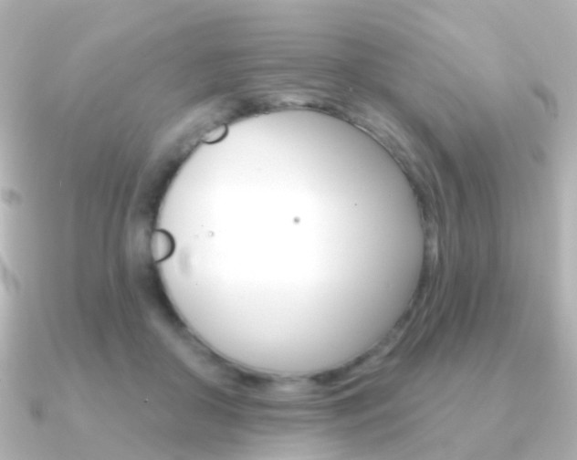 X0000091330410200708101005