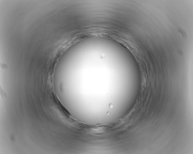 X0000091330411200708101005