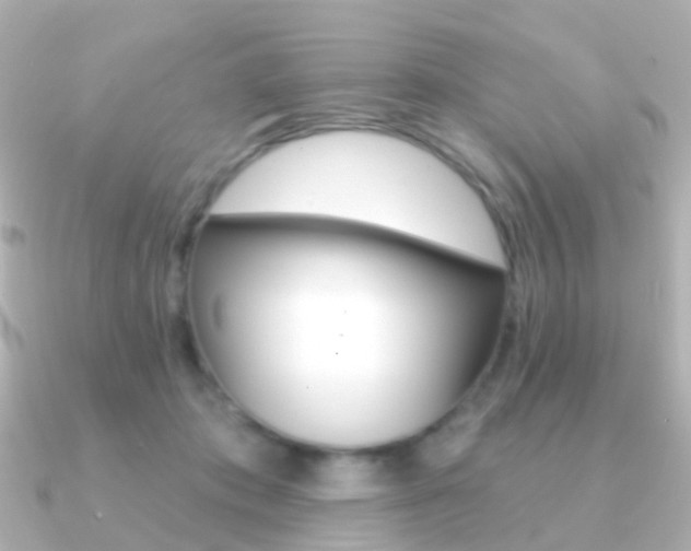 X0000091330413200708101005