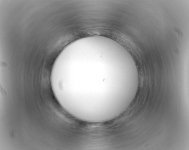 X0000091330414200708101005