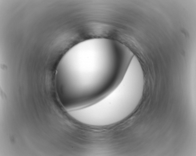 X0000091330416200708101005
