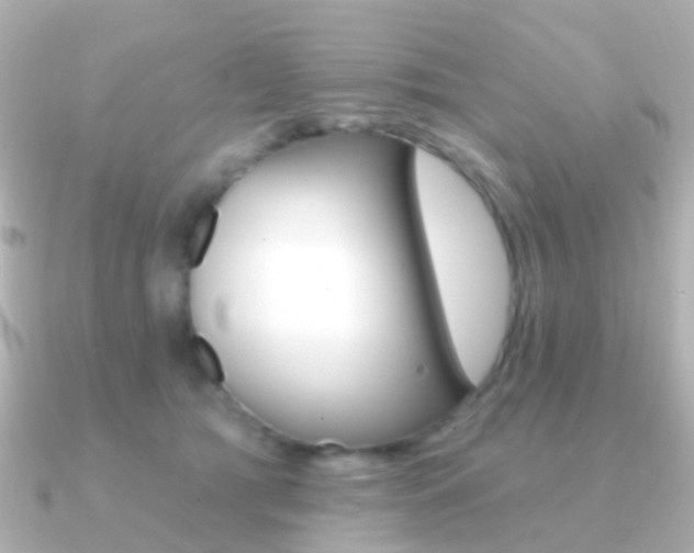 X0000091330417200708101005