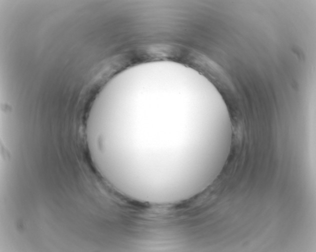 X0000091330418200708101005