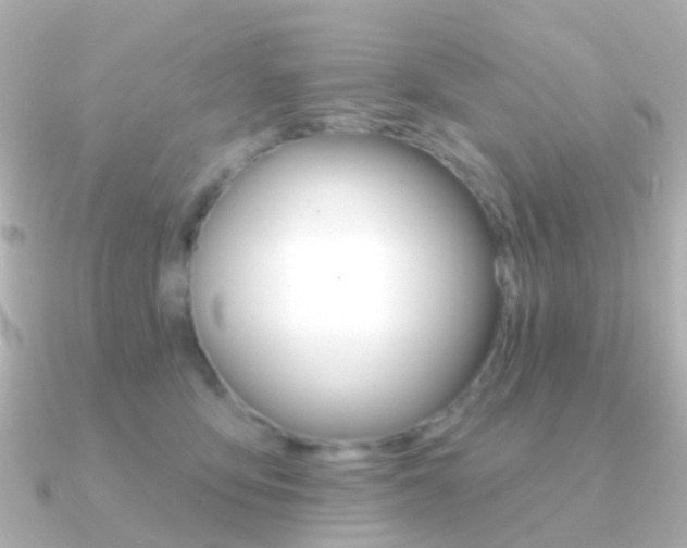 X0000091330419200708101005