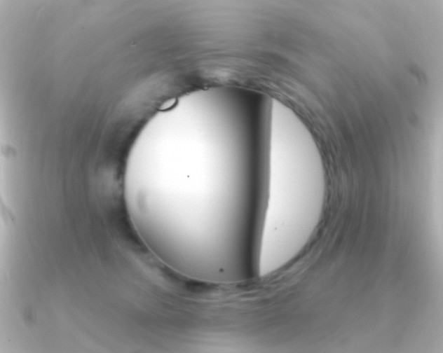 X0000091330420200708101005