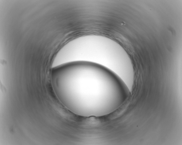 X0000091330421200708101005