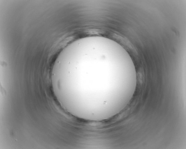 X0000091330422200708101005