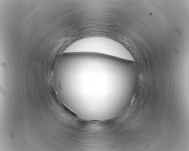 X0000091330423200708101005