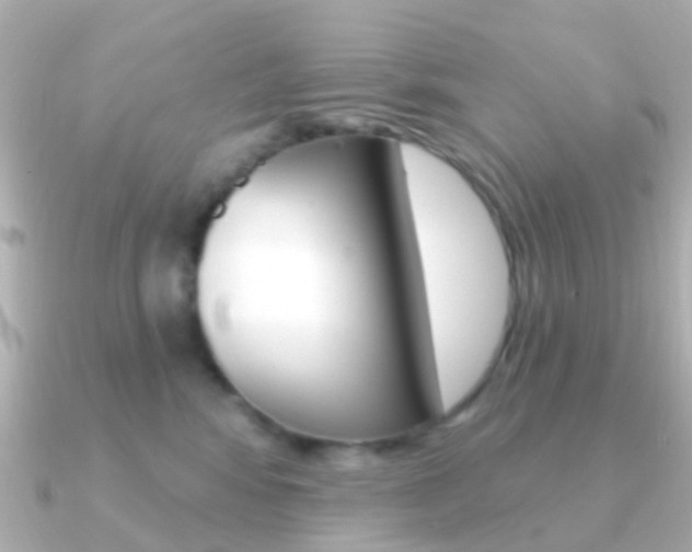 X0000091330424200708101005