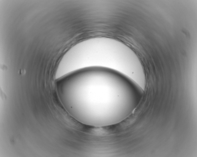 X0000091330425200708101005