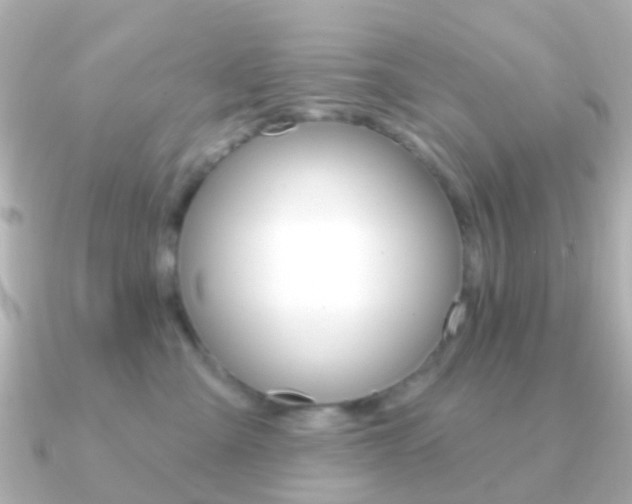 X0000091330427200708101005