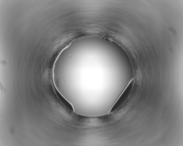 X0000091330428200708101005