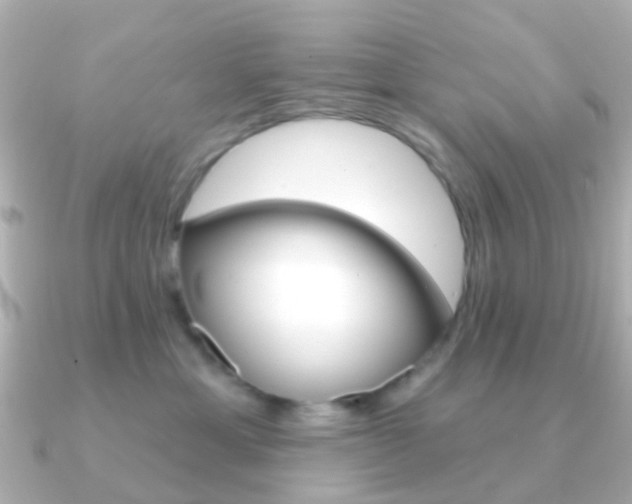 X0000091330429200708101005