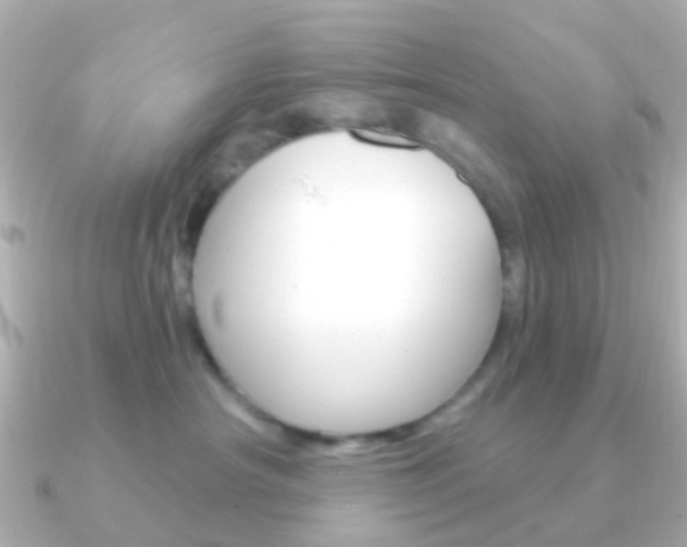 X0000091330430200708101005
