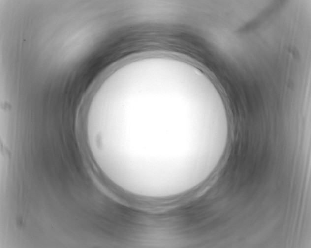 X0000091330431200708101005