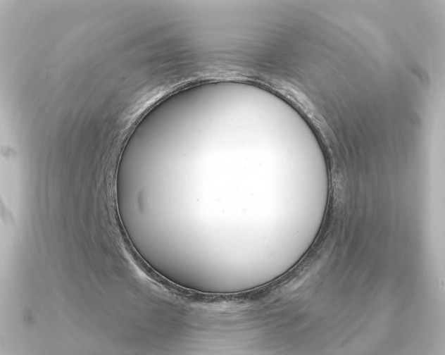 X0000091330433200708101004