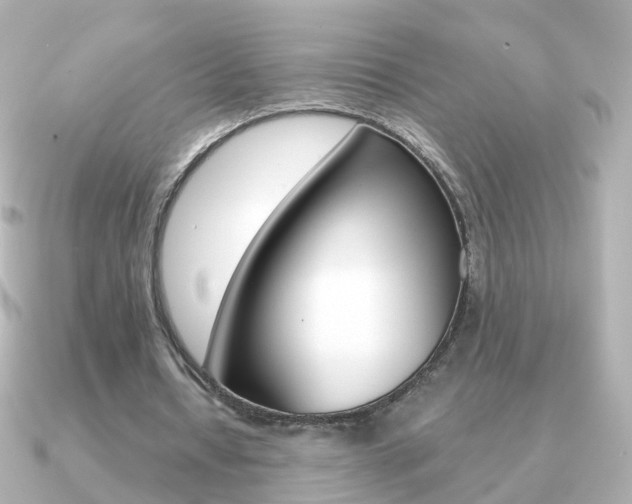 X0000091330434200708101004