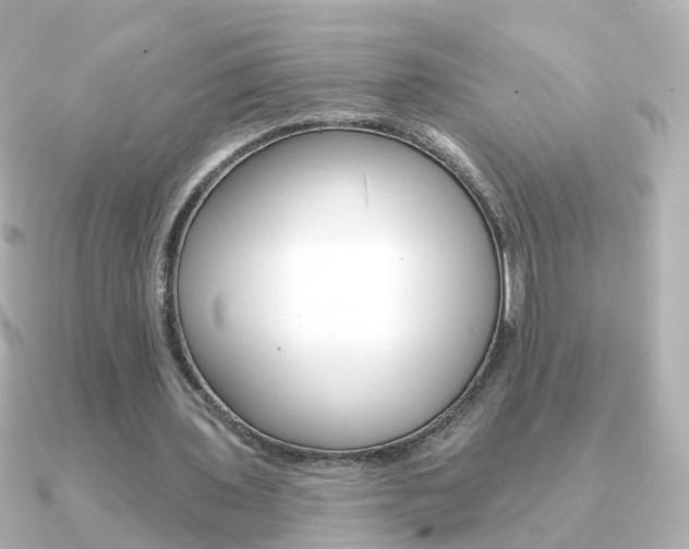 X0000091330435200708101004