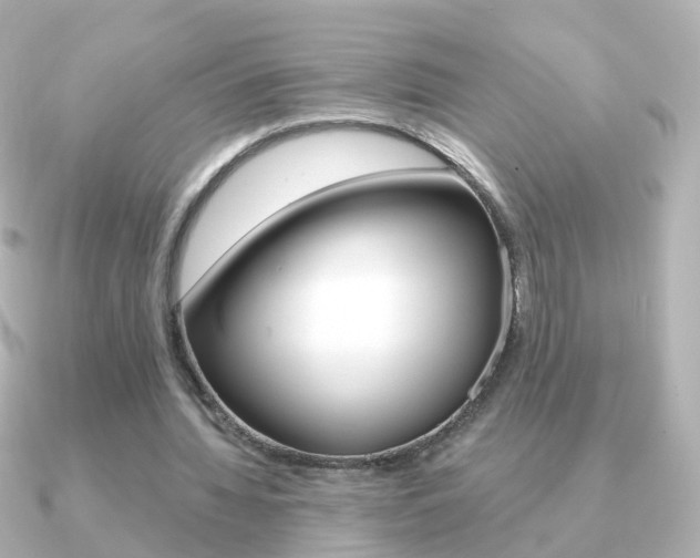 X0000091330436200708101004