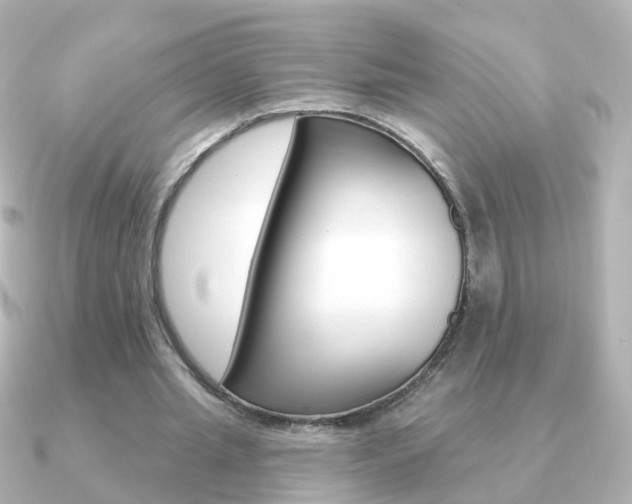 X0000091330437200708101004