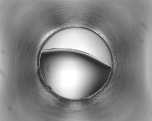 X0000091330438200708101004