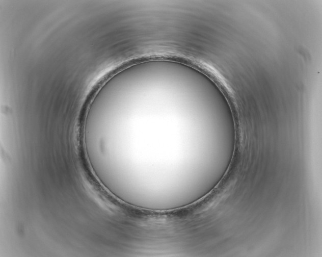 X0000091330439200708101004