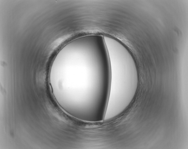 X0000091330440200708101004