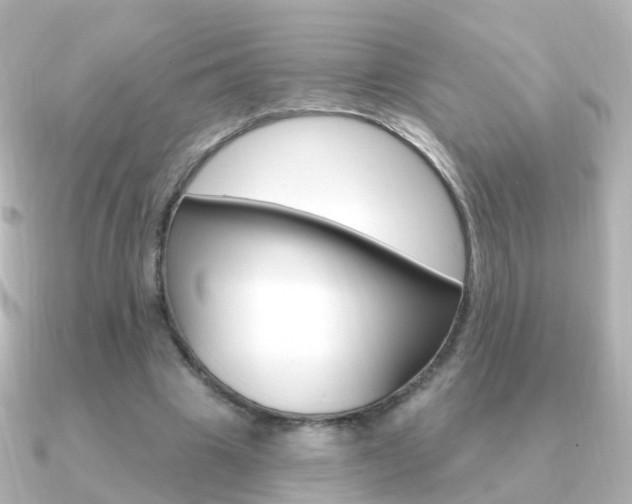 X0000091330441200708101004