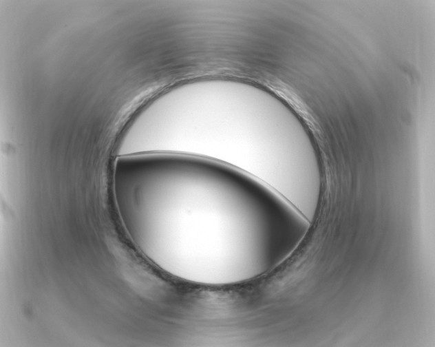 X0000091330442200708101004