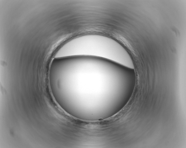 X0000091330444200708101004