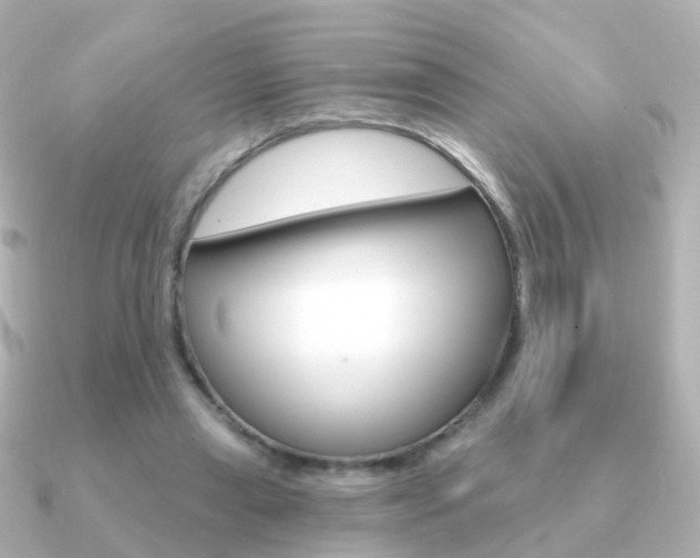 X0000091330445200708101004