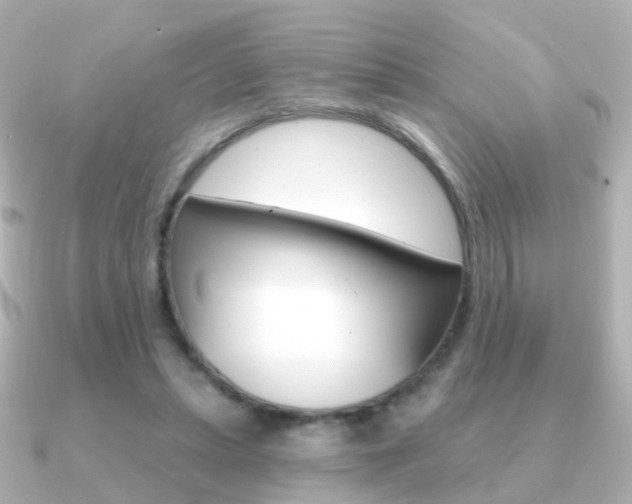 X0000091330447200708101004