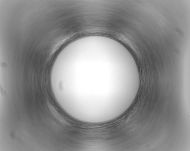 X0000091330448200708101004
