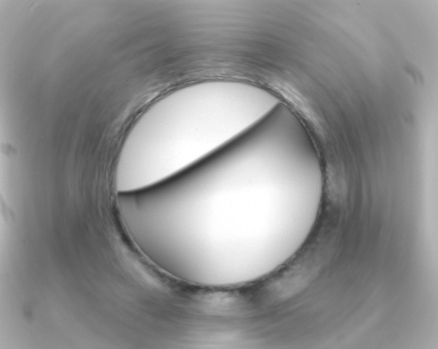 X0000091330449200708101004