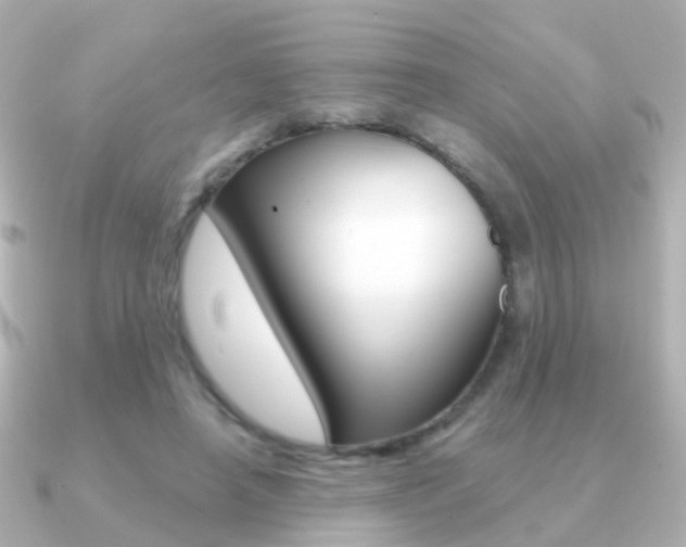 X0000091330450200708101004