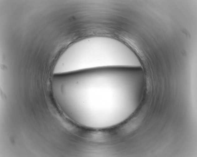 X0000091330453200708101004