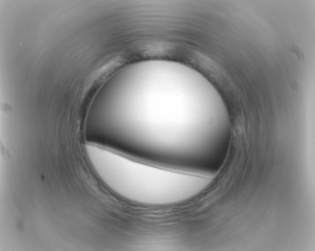 X0000091330454200708101004