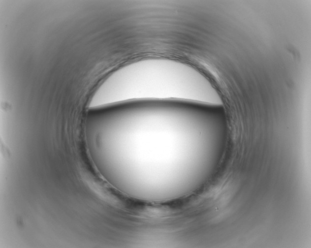 X0000091330455200708101004
