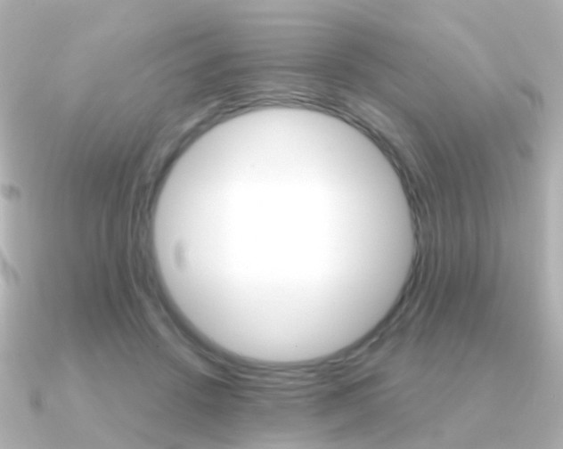 X0000091330456200708101004